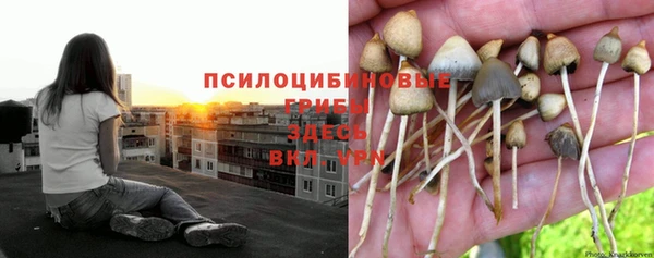 mdpv Богородицк