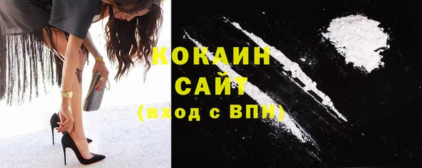 прущий лед Богданович