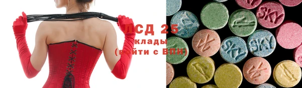 прущий лед Богданович