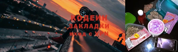 прущий лед Богданович