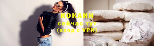 mdpv Богородицк