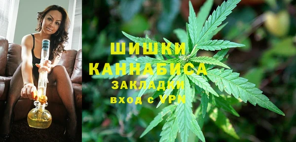 гашик Богородск