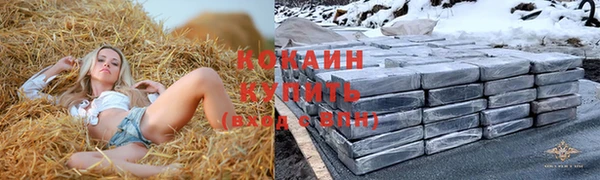 mdpv Богородицк
