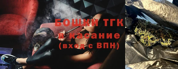 прущий лед Богданович