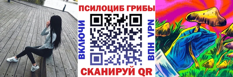 Галлюциногенные грибы прущие грибы  Зима 