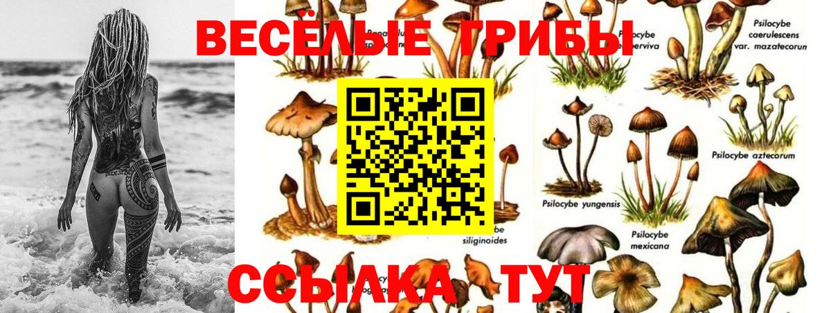 Галлюциногенные грибы прущие грибы Зима